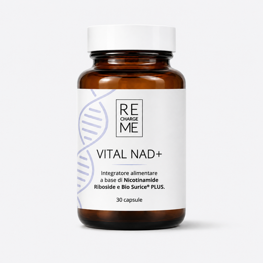 VITAL NAD+ doplněk stravy